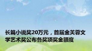 长篇小说奖20万元，首届金芙蓉文学艺术奖公布各奖项奖金额度