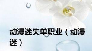 动漫迷失单职业（动漫迷）