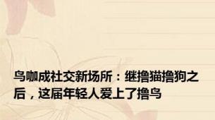 鸟咖成社交新场所：继撸猫撸狗之后，这届年轻人爱上了撸鸟