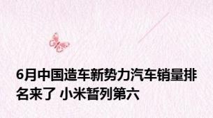 6月中国造车新势力汽车销量排名来了 小米暂列第六