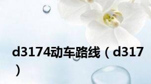 d3174动车路线（d317）