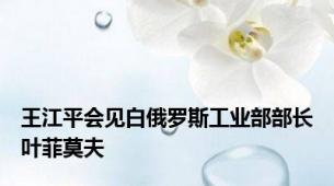 王江平会见白俄罗斯工业部部长叶菲莫夫