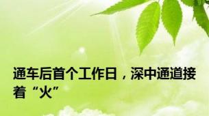 通车后首个工作日，深中通道接着“火”