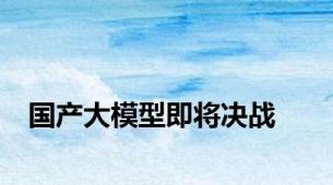 国产大模型即将决战