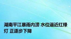 湖南平江暴雨内涝 水位逼近红绿灯 正逐步下降