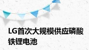 LG首次大规模供应磷酸铁锂电池