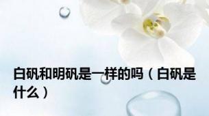 白矾和明矾是一样的吗（白矾是什么）
