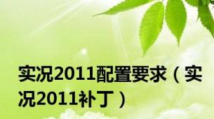 实况2011配置要求（实况2011补丁）