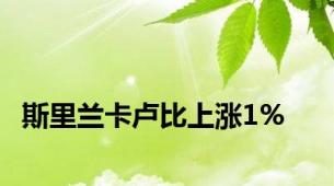 斯里兰卡卢比上涨1%