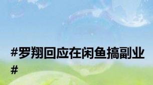 #罗翔回应在闲鱼搞副业#