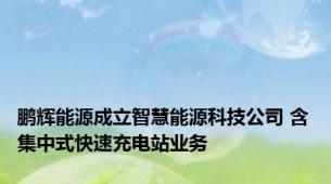 鹏辉能源成立智慧能源科技公司 含集中式快速充电站业务