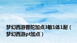 梦幻西游普陀加点3敏1体1耐（梦幻西游pt加点）
