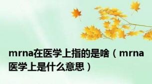 mrna在医学上指的是啥（mrna医学上是什么意思）