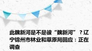 此魏新河是不是彼“魏新河”？辽宁锦州市林业和草原局回应：正在调查