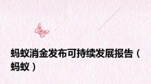蚂蚁消金发布可持续发展报告（蚂蚁）