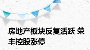房地产板块反复活跃 荣丰控股涨停