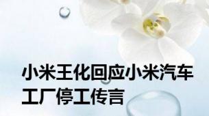 小米王化回应小米汽车工厂停工传言
