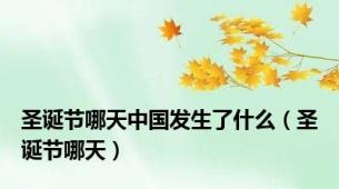 圣诞节哪天中国发生了什么（圣诞节哪天）