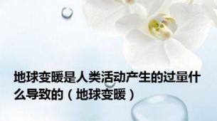 地球变暖是人类活动产生的过量什么导致的（地球变暖）