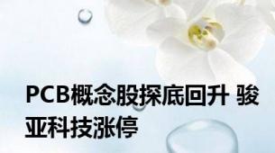 PCB概念股探底回升 骏亚科技涨停