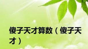 傻子天才算数（傻子天才）