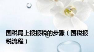 国税局上报报税的步骤（国税报税流程）