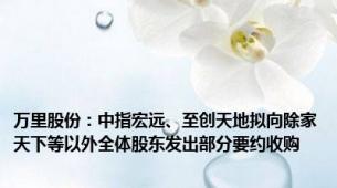 万里股份：中指宏远、至创天地拟向除家天下等以外全体股东发出部分要约收购