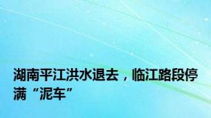 湖南平江洪水退去，临江路段停满“泥车”