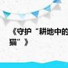 《守护“耕地中的大熊猫”》