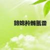 鍗婂矝鏅氬畨