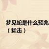 梦见蛇是什么预兆 女性（猛击）