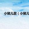 小猪儿歌（小猪儿）