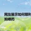 网友展示如何顺利给狗狗喂药