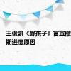 王俊凯《野孩子》官宣撤档：后期进度原因