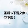 圣诞节下雪文案（圣诞节下雪）