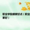 职业学院哪家好点（职业学院哪家好）