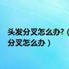 头发分叉怎么办?（头发分叉怎么办）