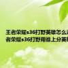 王者荣耀s36打野英雄怎么选择 王者荣耀s36打野用谁上分英雄推荐