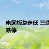 电网板块走低 三晖电气跌停
