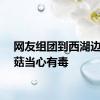 网友组团到西湖边采蘑菇当心有毒