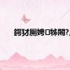 鍔犲厠娉㈢牬闂?,