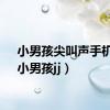 小男孩尖叫声手机版（小男孩jj）