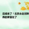 后续来了！北京永定河畔，崖沙燕的家留住了