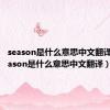 season是什么意思中文翻译成（season是什么意思中文翻译）