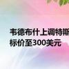 韦德布什上调特斯拉目标价至300美元
