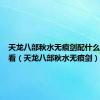 天龙八部秋水无痕剑配什么时装好看（天龙八部秋水无痕剑）