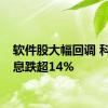 软件股大幅回调 科创信息跌超14%