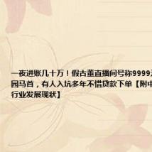 一夜进账几十万！假古董直播间号称9999元可买圆明园马首，有人入坑多年不惜贷款下单【附中国文玩电商行业发展现状】