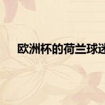 欧洲杯的荷兰球迷