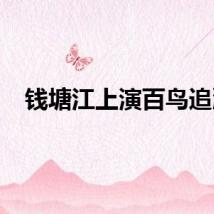 钱塘江上演百鸟追潮